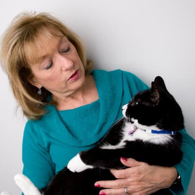 Cancer in your cat - possible options
