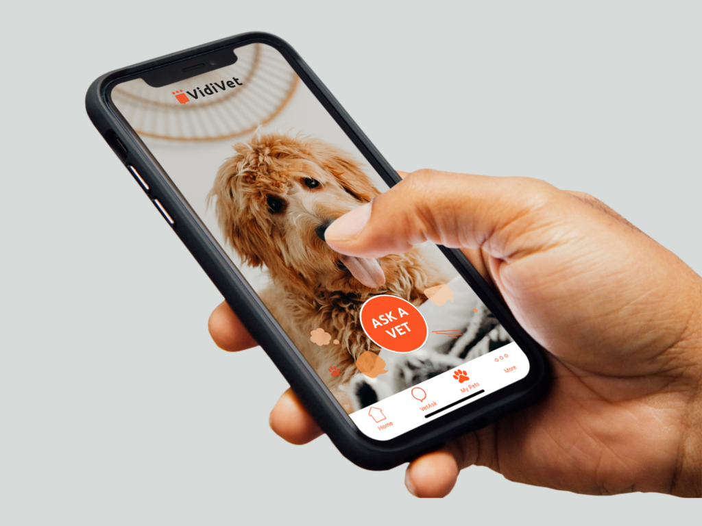 Vidivet 24/7 Veterinary advice and support