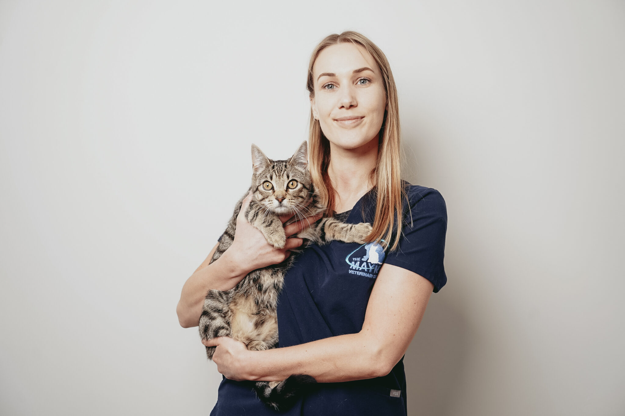 Pet Health Club in Colchester Pet Health Plans Mayne Vets